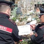 Casa-discarica a Mondragone, trovati 13 cani e un pitone: denunce e minori allontanati